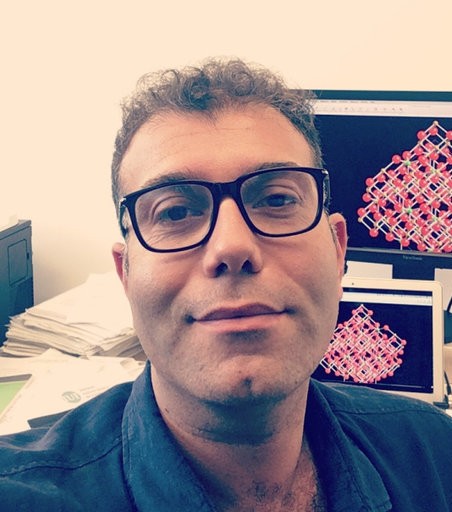 Prof. Ali Abou-Hassan